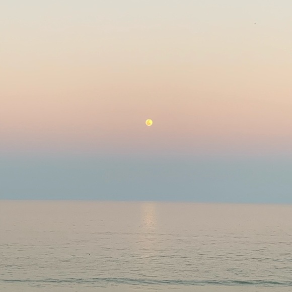 Meet your Posher, Lauren - Picture 1 of 1